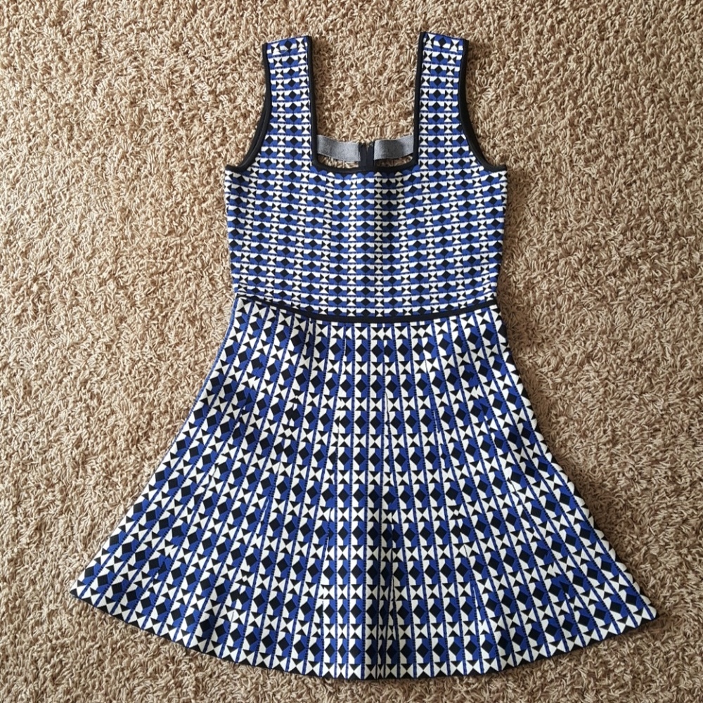 BCBG Black and Blue Dress